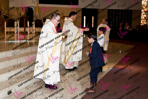 Viva_Studio_stc05102025_175
