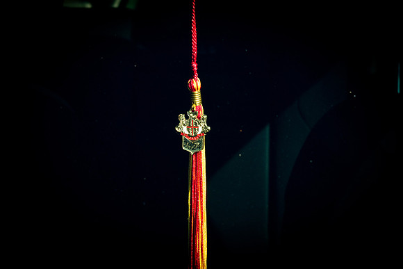Viva_Studio_MCO_264