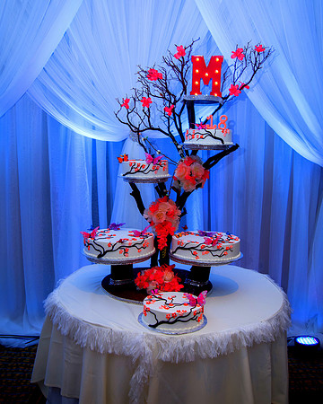 Viva_MGM_Debut_-047