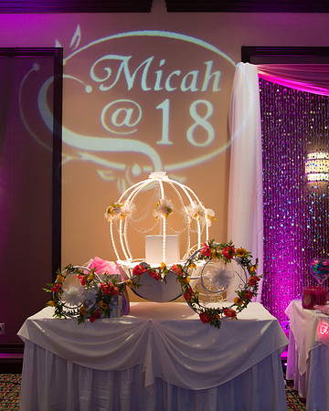 Viva_MGM_Debut_-166