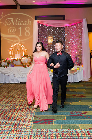 Viva_MGM_Debut_-181