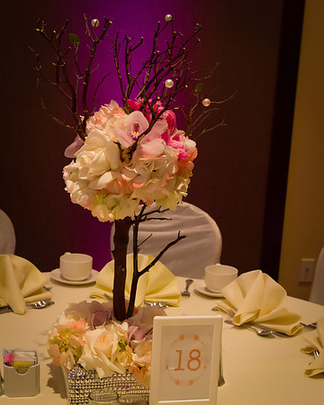 Viva_MGM_Debut_-014