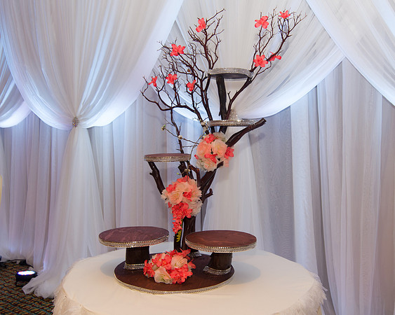 Viva_MGM_Debut_-016