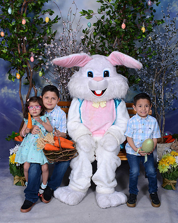 Viva_Studio_3102