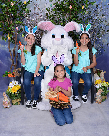 Viva_Studio_4059