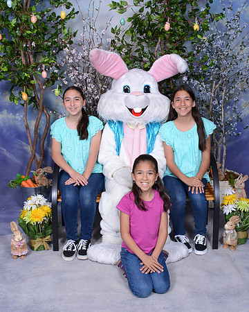Viva_Studio_4047