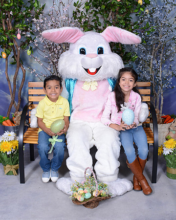 Viva_Studio_3234