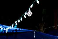 www.VivaPhotoStudio.com