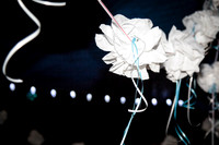 www.VivaPhotoStudio.com