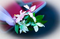 www.VivaPhotoStudio.com