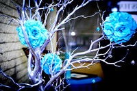 www.VivaPhotoStudio.com