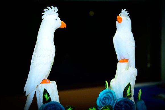 www.VivaPhotoStudio.com