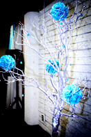 www.VivaPhotoStudio.com