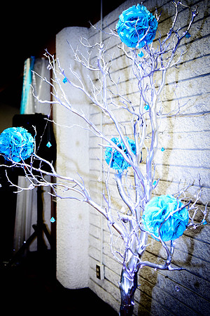 www.VivaPhotoStudio.com