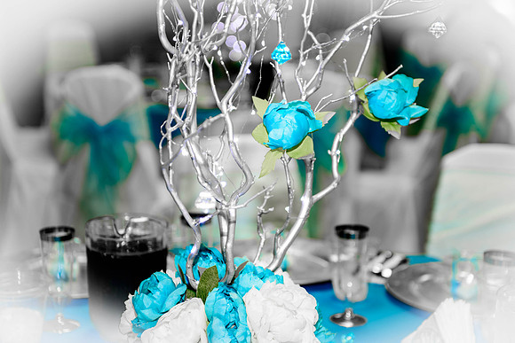 www.VivaPhotoStudio.com