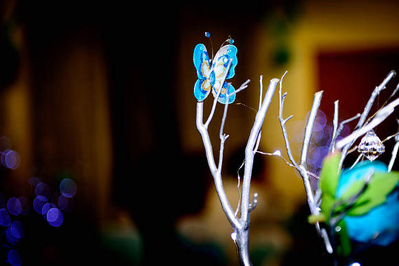 www.VivaPhotoStudio.com