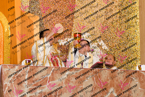 Viva_Studio_stc05102025_160