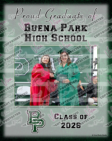 300023382-3_BPHS