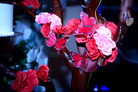 www.VivaPhotoStudio.com