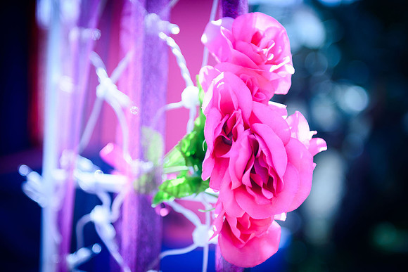 www.VivaPhotoStudio.com