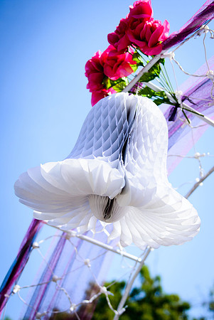 www.VivaPhotoStudio.com