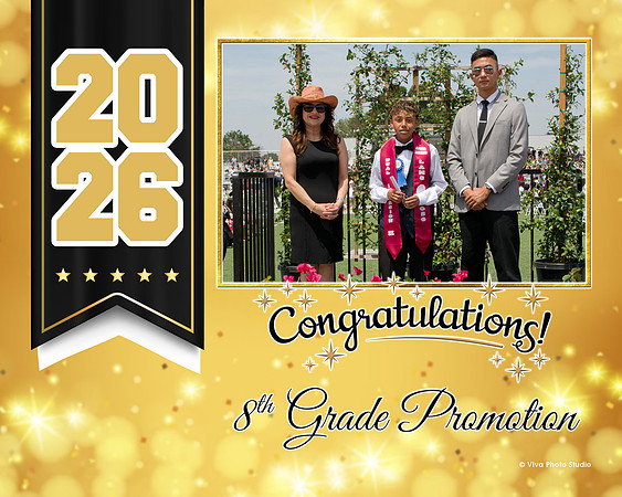 917299-3_gold