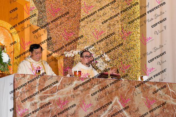 Viva_Studio_stc05102025_159