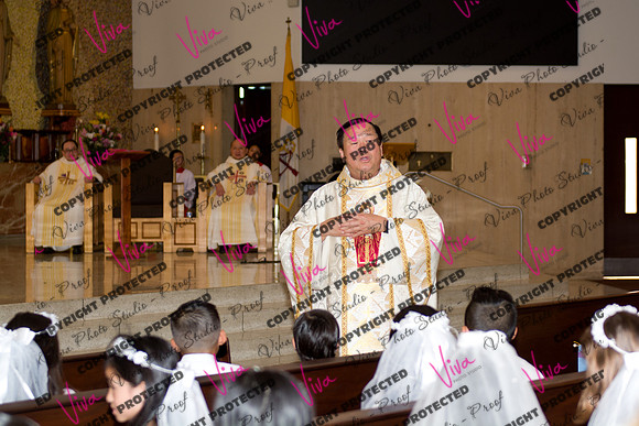 Viva_Studio_stc05102025_123