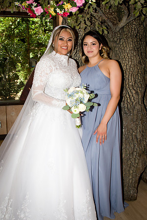 Viva_Studio_RJwed_7-6-2024 - 051