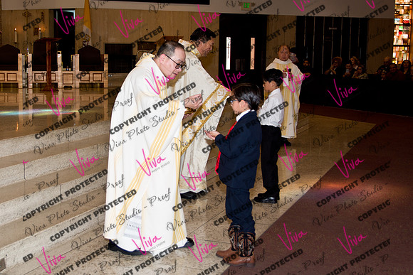 Viva_Studio_stc05102025_177