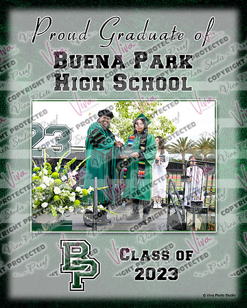 300021887_ND8_3059_BPHS