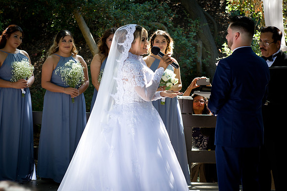 Viva_Studio_RJwed_7-6-2024 - 150