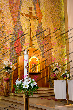 Viva_Studio_stc05102025_027