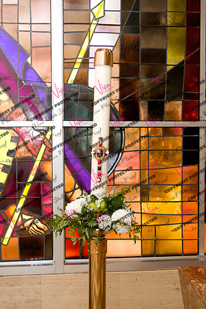 Viva_Studio_stc05102025_006