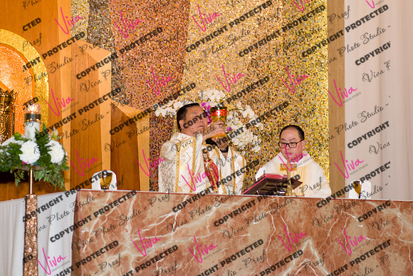 Viva_Studio_stc05102025_149