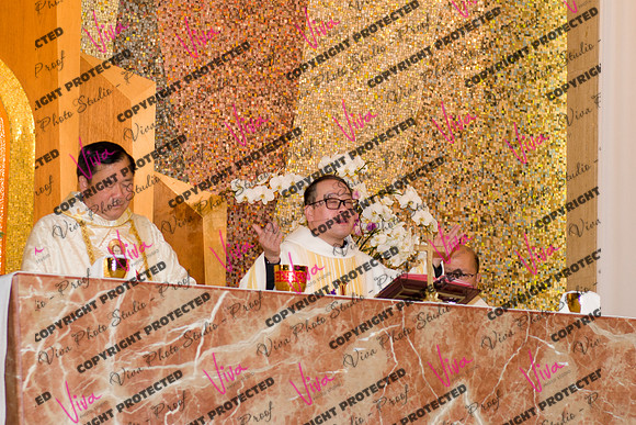 Viva_Studio_stc05102025_158