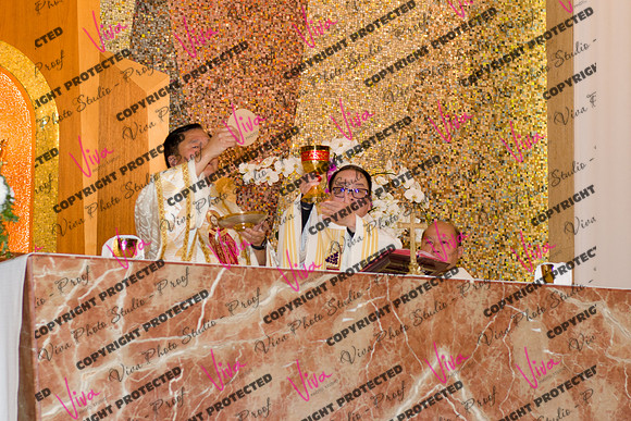 Viva_Studio_stc05102025_161