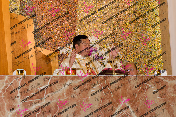 Viva_Studio_stc05102025_151