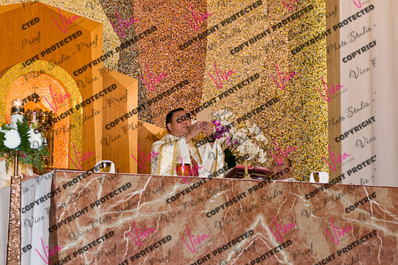 Viva_Studio_stc05102025_153