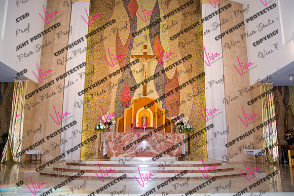 Viva_Studio_stc05102025_007