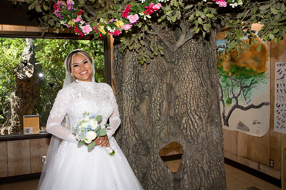 Viva_Studio_RJwed_7-6-2024 - 039
