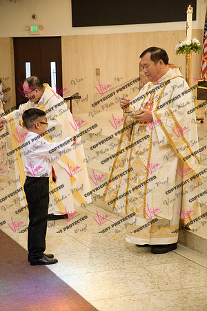 Viva_Studio_stc05102025_173