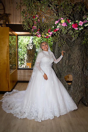 Viva_Studio_RJwed_7-6-2024 - 033
