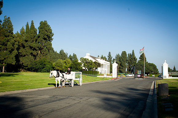 Viva_Studio_MCO_302