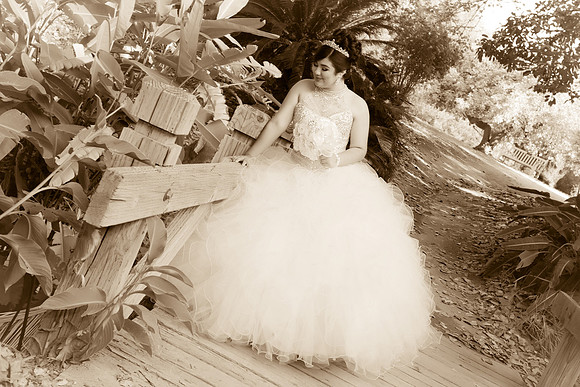Viva_Studio_MF_Pre-XV_-017