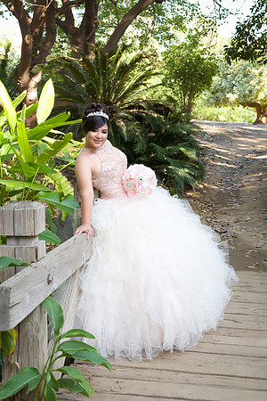 Viva_Studio_MF_Pre-XV_-018