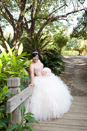 Viva_Studio_MF_Pre-XV_-019