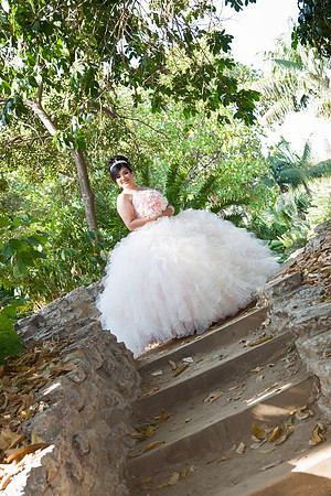 Viva_Studio_MF_Pre-XV_-024