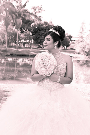 Viva_Studio_MF_Pre-XV_-027