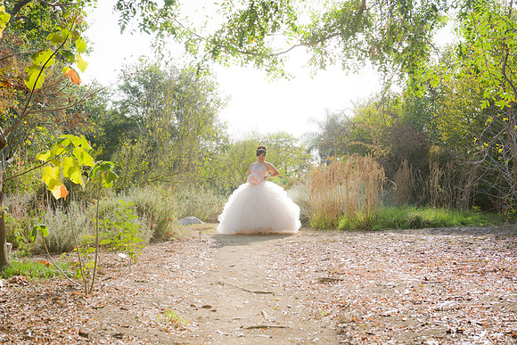 Viva_Studio_MF_Pre-XV_-032